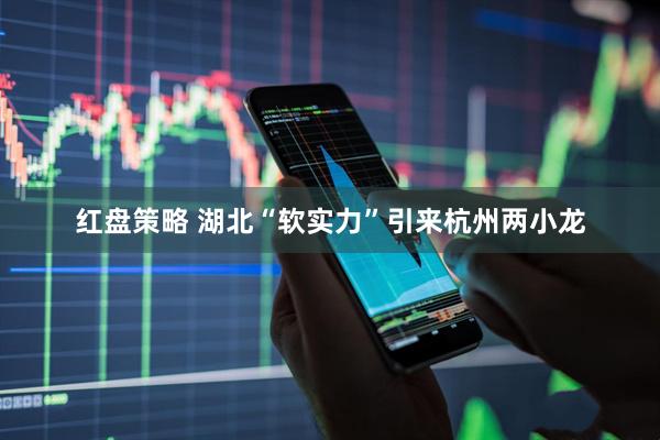 红盘策略 湖北“软实力”引来杭州两小龙