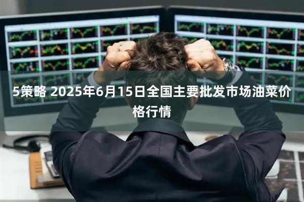 5策略 2025年6月15日全国主要批发市场油菜价格行情
