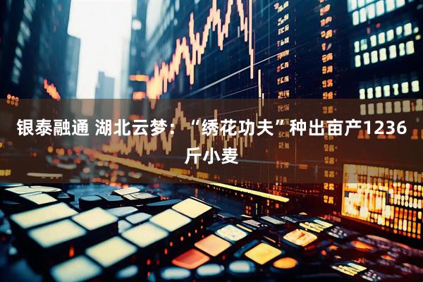 银泰融通 湖北云梦：“绣花功夫”种出亩产1236斤小麦