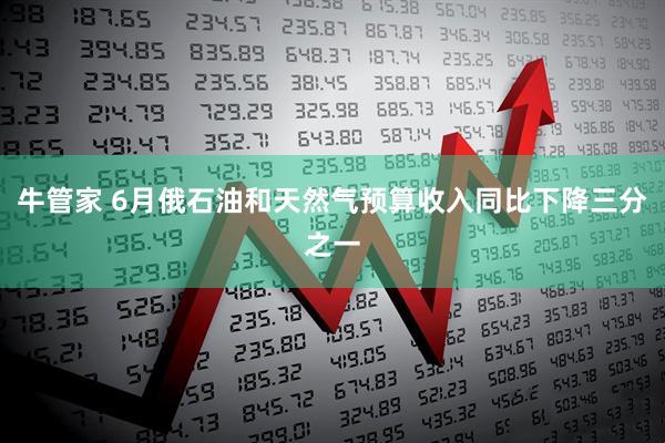 牛管家 6月俄石油和天然气预算收入同比下降三分之一