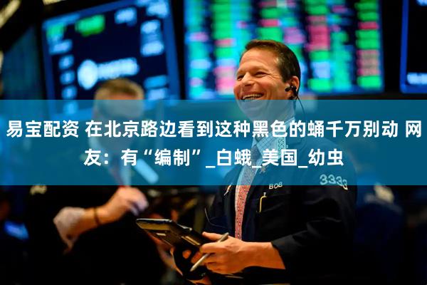 易宝配资 在北京路边看到这种黑色的蛹千万别动 网友：有“编制”_白蛾_美国_幼虫