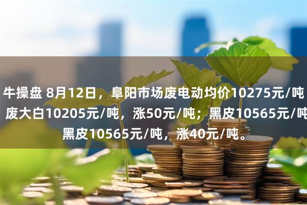 牛操盘 8月12日，阜阳市场废电动均价10275元/吨，涨20元/吨；废大白10205元/吨，涨50元/吨；黑皮10565元/吨，涨40元/吨。
